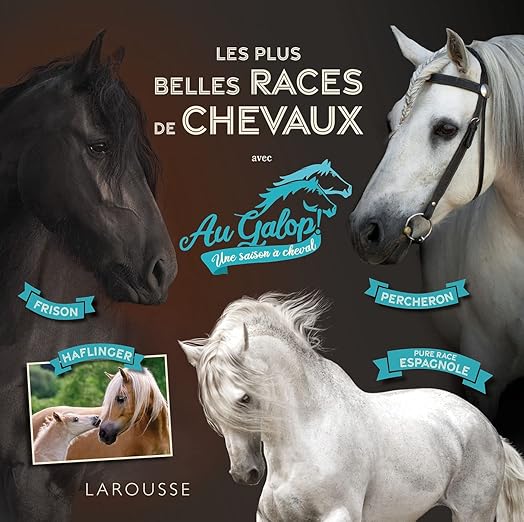 Au galop : livre enfant