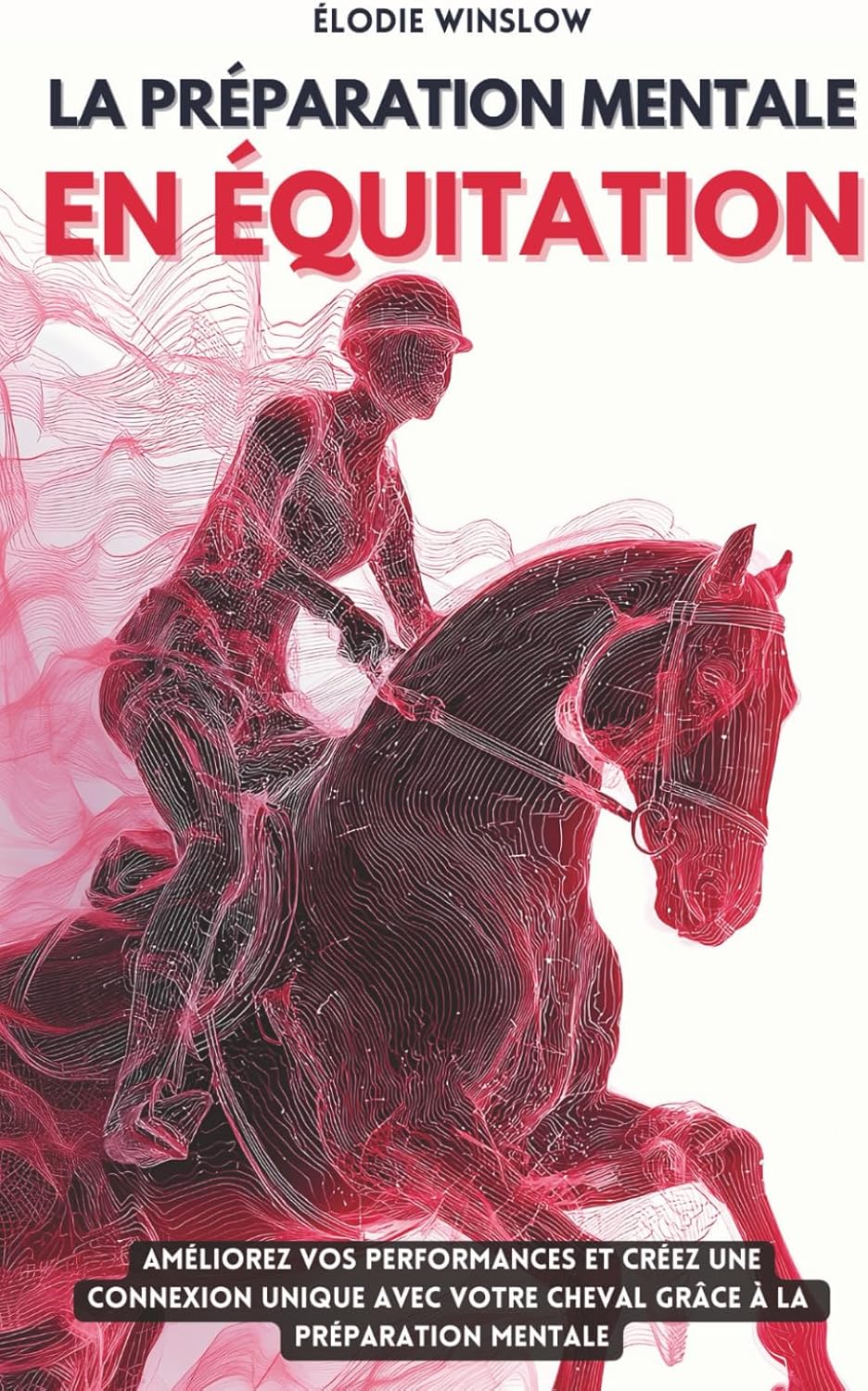 Vue 4 de Exercices Saut d'Obstacles Équitation