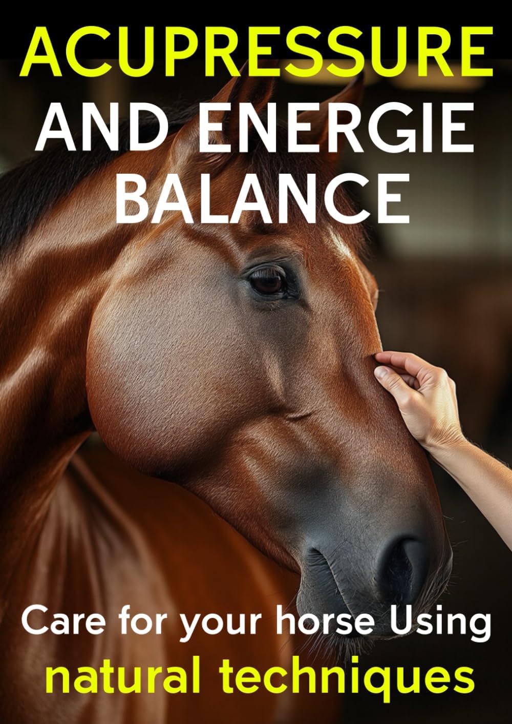 Vue 4 de Acupression Shiatsu Équine Essentiel