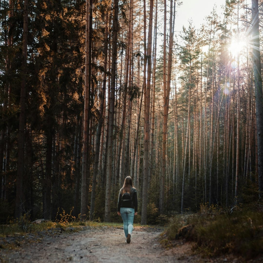 Ma quête, longtemps sans réponse...