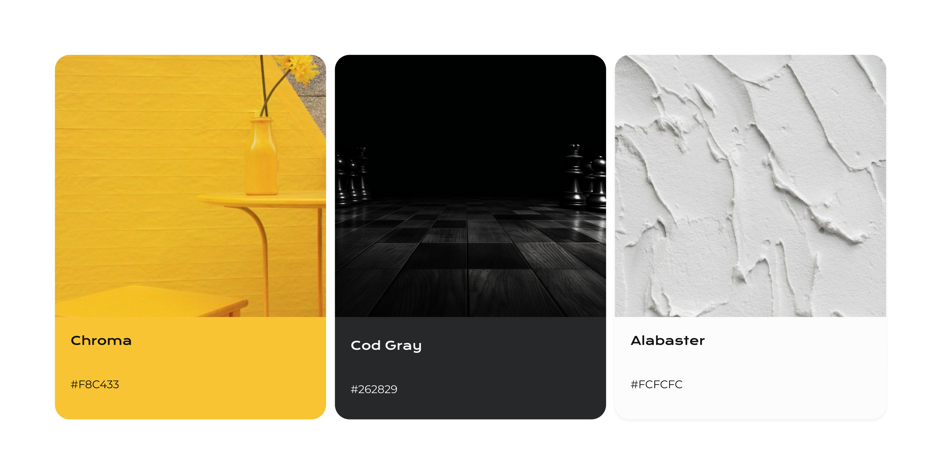 Visual Identity