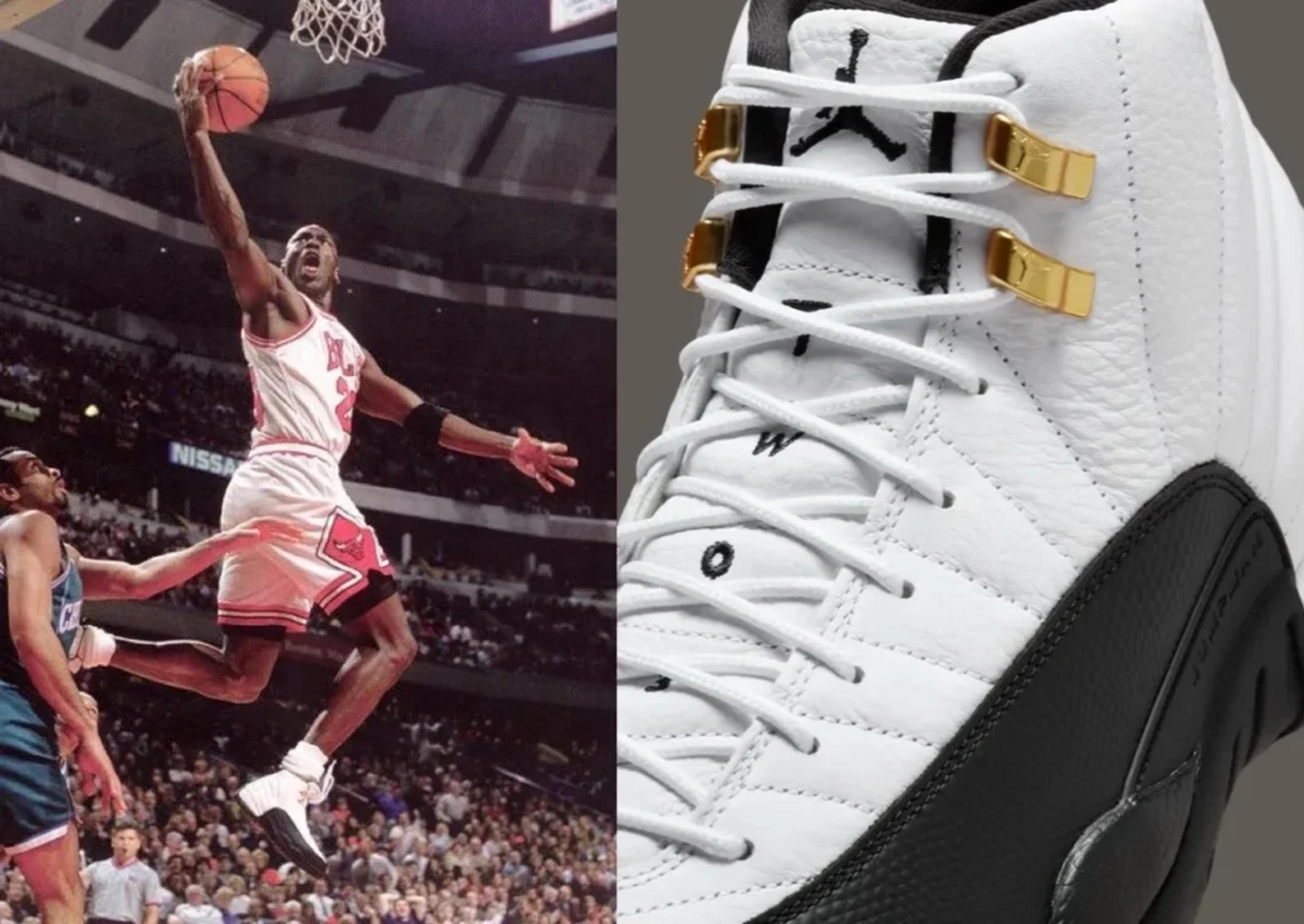 Air Jordan 12