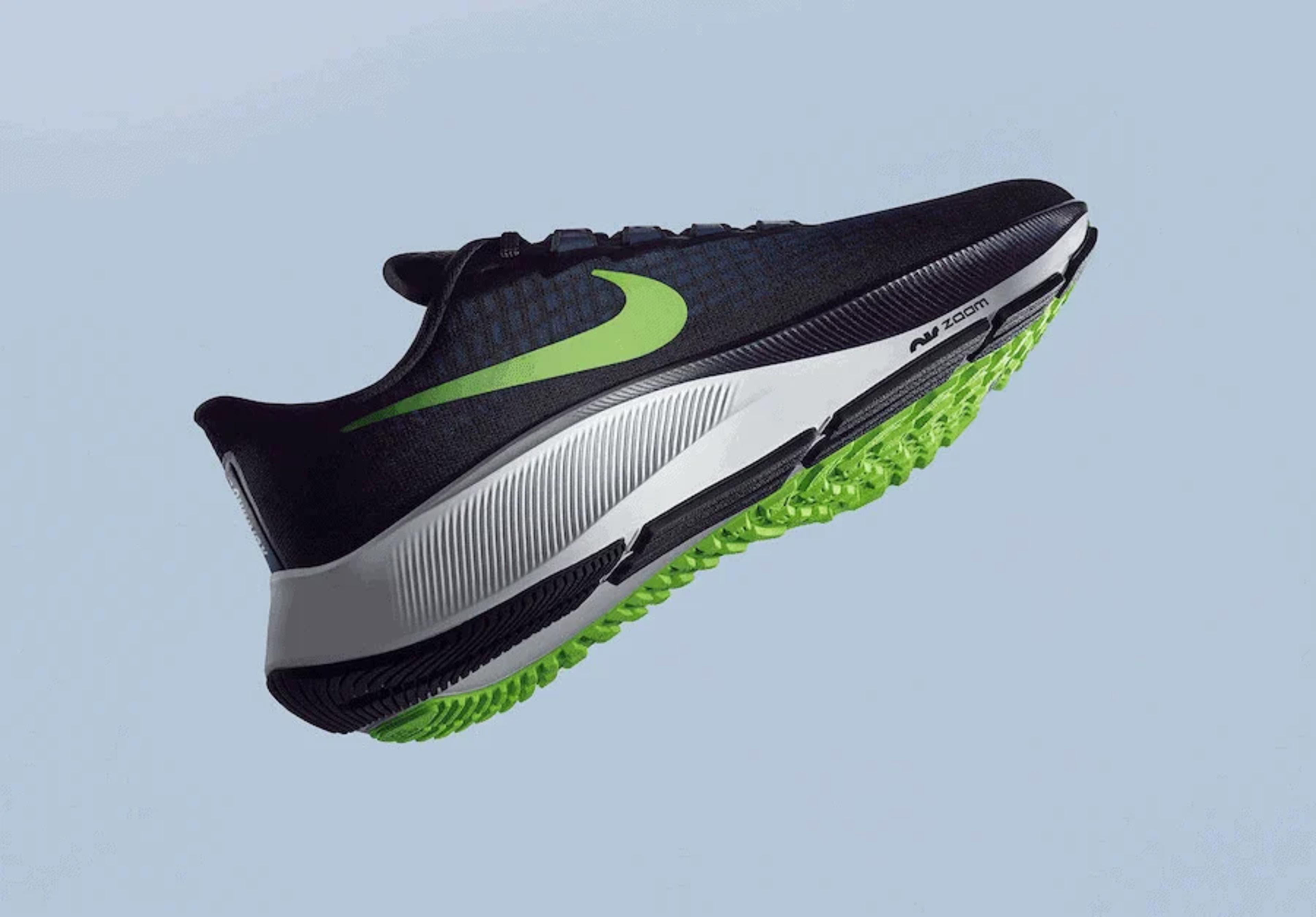 Nike Air Zoom Pegasus