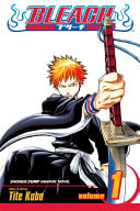 Cover of Bleach, Vol. 1
