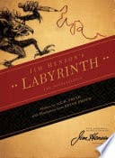 Cover of Labyrinth