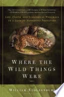 Cover of Sea Creatures: Their Past, Present, and Future