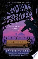 Cover of Small Spaces