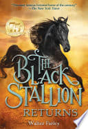 Cover of The Black Stallion