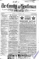 Cover of The Orphan's Wish