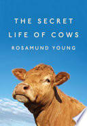 Cover of The Secret Life of Cows