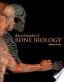 Cover of The Skeleton: Biochemical, Genetic, and Molecular Interactions