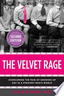 Cover of The Velvet Rage