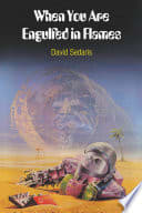 Cover of When You Are Engulfed in Flames