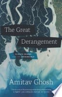 Cover of The Great Derangement