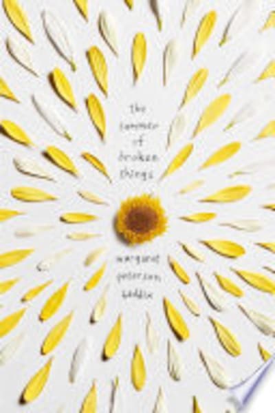 Cover of The Summer of Broken Things