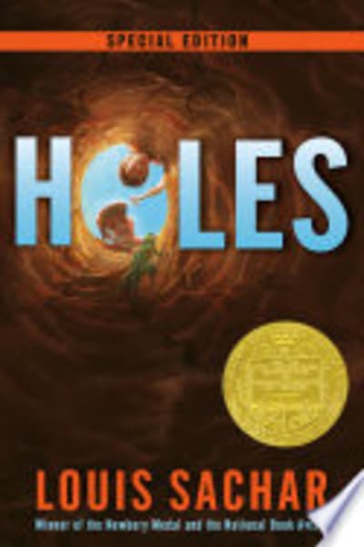 Cover of Holes