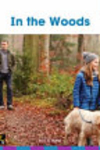 Cover of In the Woods