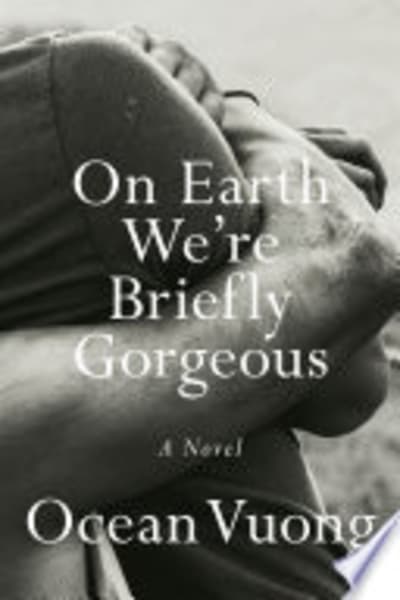 Cover of On Earth We're Briefly Gorgeous