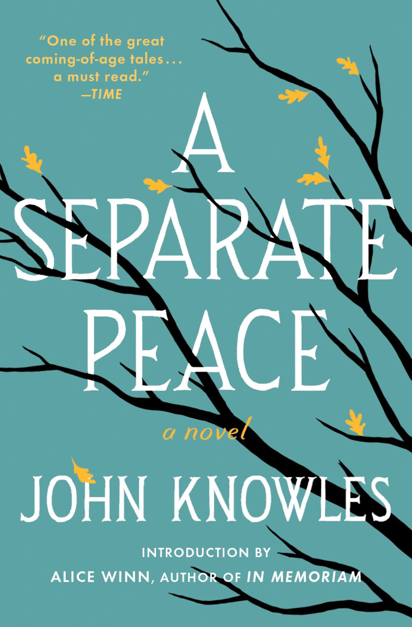 Cover of A Separate Peace