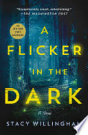 Cover of A Flicker in the Dark