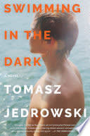 Cover of Swimming in the Dark