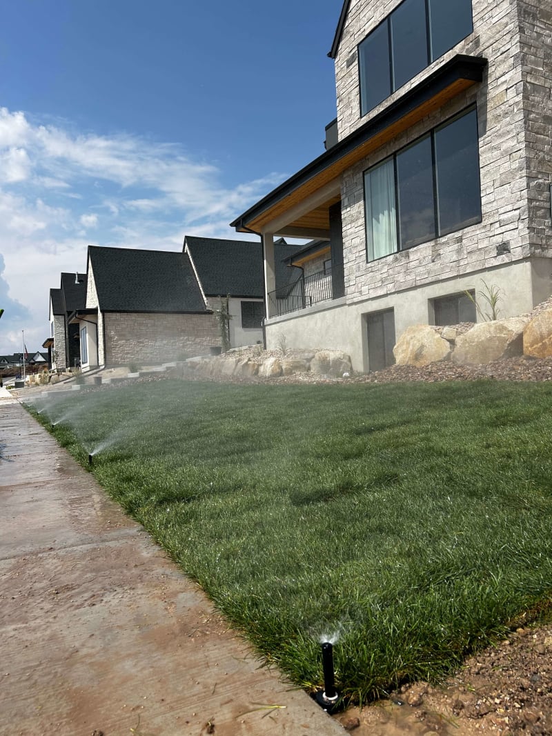 New lawn being watered by sprinklers beside a house