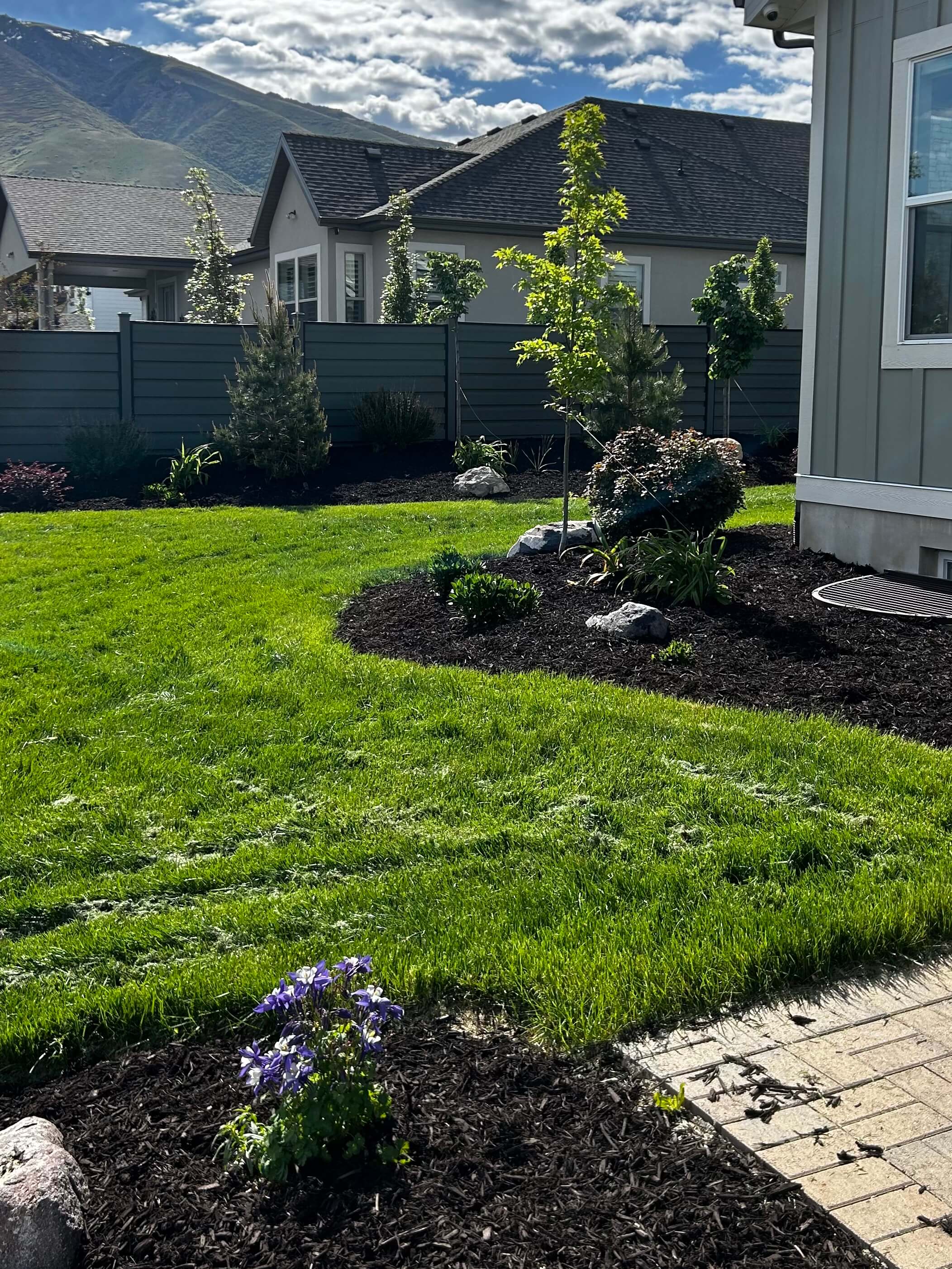 Custom lawn, planting beds, and landscape design