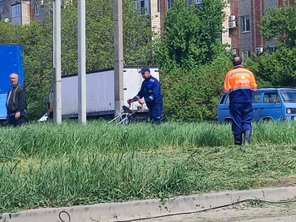 Второй субботник провели сотрудники РЭУ 