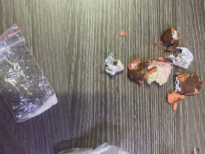 В Новороссийске за незаконный оборот наркотиков перед судом предстанут две приятельницы