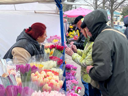 Где организованы цветочные ярмарки Геленджика
