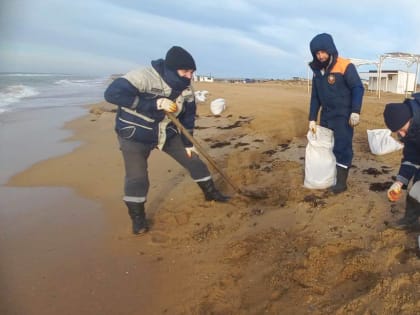 Иван Демченко: работы по ликвидации разлива мазута в Керченском проливе продолжаются благодаря усилиям волонтеров и специализированные служб