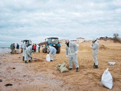 Иван Демченко: на пляжах Анапы активно продолжаются работы по ликвидации последствий разлива мазута