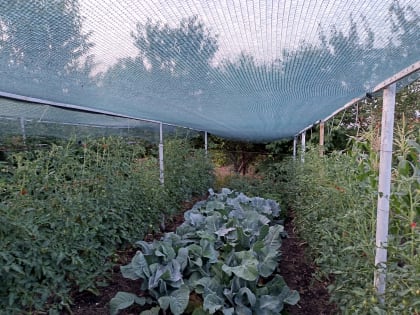 Наш ответ палящему солнцу