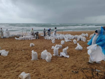 Добровольцы Динского района продолжают активно участвовать в уборке нефтепродуктов с пляжей Анапского района