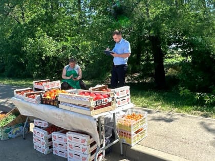 За месяц в Краснодаре пресекли более 300 фактов несанкционированной торговли