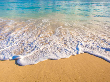 Мониторинг здоровья в Краснодарском крае