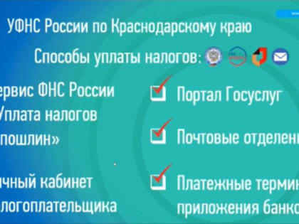 Срок уплаты налогов продлен до декабря 2024 года