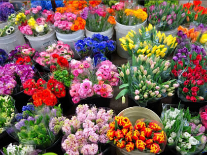 На территории станицы Динской начнет работу ярмарка «Цветочный Рай».