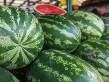 Опасности арбуза для здоровья