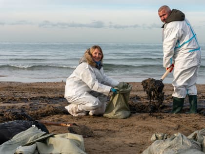 Волонтеры убирают мазут и моют птиц – нужно как можно быстрее очистить море