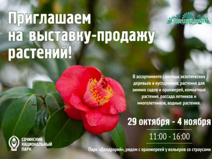 Выставка-продажа растений в Сочинском национальном парке