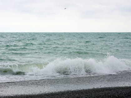 В Сочи в ежедневном мониторинге пляжей задействовано более 30 человек
