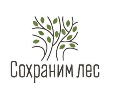 Акция по восстановлению лесов России в 2024 году