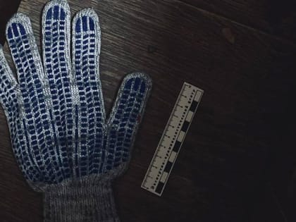 Кража инструментов в Новороссийске