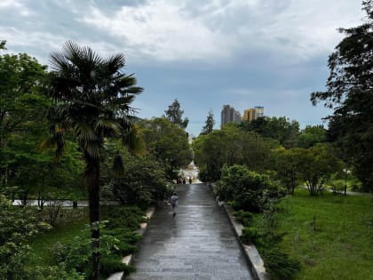 Нацпарк Сочи и Кавказский заповедник приняли 100 тысяч гостей за праздники