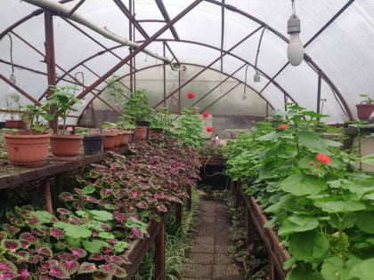 Весна близко: краснодарские парки готовятся к весне