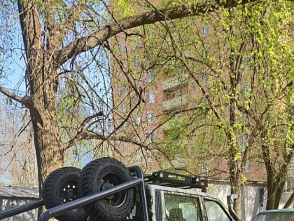 Из Сочи в зону СВО к Пасхе доставят праздничный гуманитарный груз