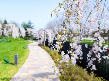 Метеорологи скорректировали прогноз на вторую часть апреля-2024 на Кубани