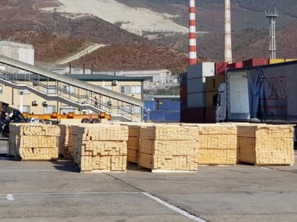 Контрабанду ценных пород древесины выявили сотрудники Новороссийской таможни и полиции