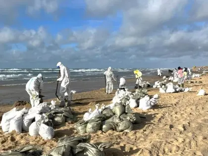 С пляжей Анапы и Темрюкского района вывезли более 78 тысяч тонн замазученного грунта